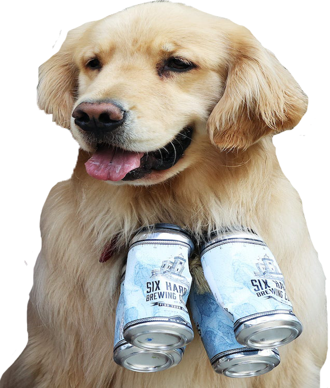 golden-retriever-brew-dogs-help-deliver-beer-during-the-pandemic